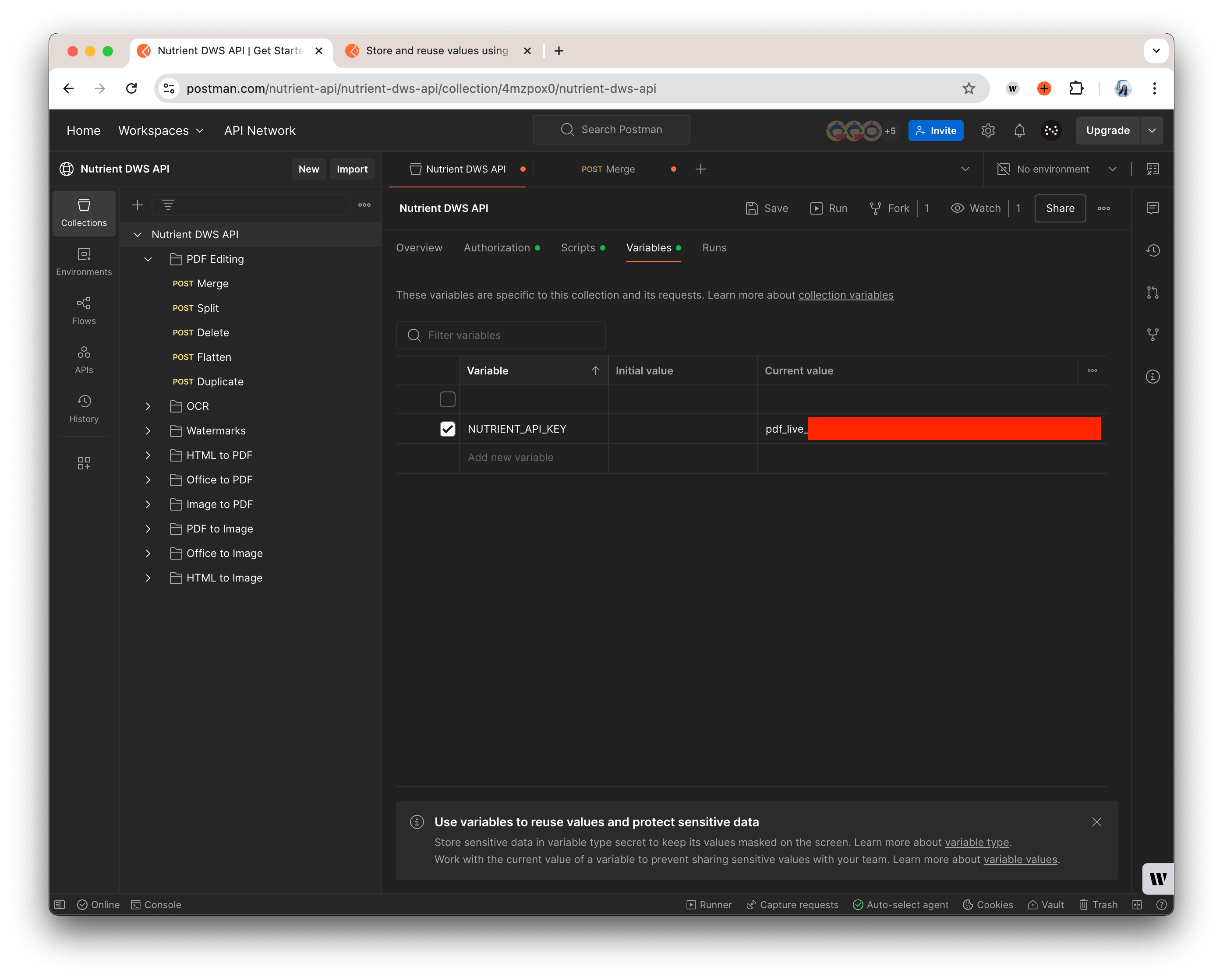 Screen capture of the Postman window with the Variables section open.