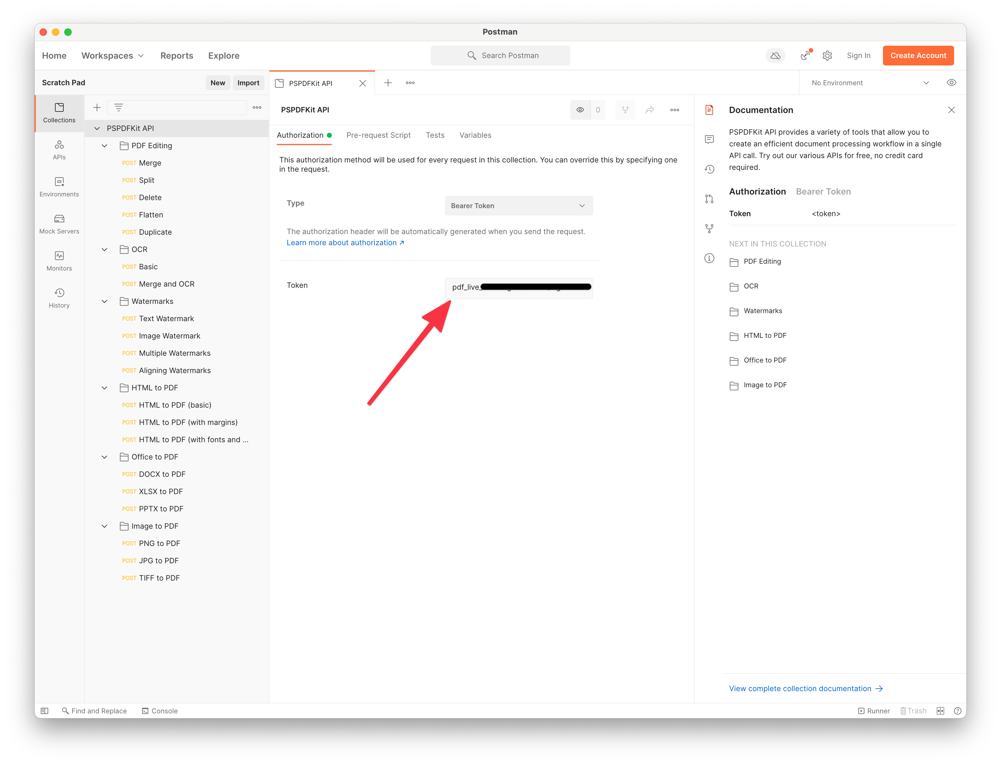 Screen capture of the Postman window with the Authorization section open. An arrow points to the text field where the API key should be added.